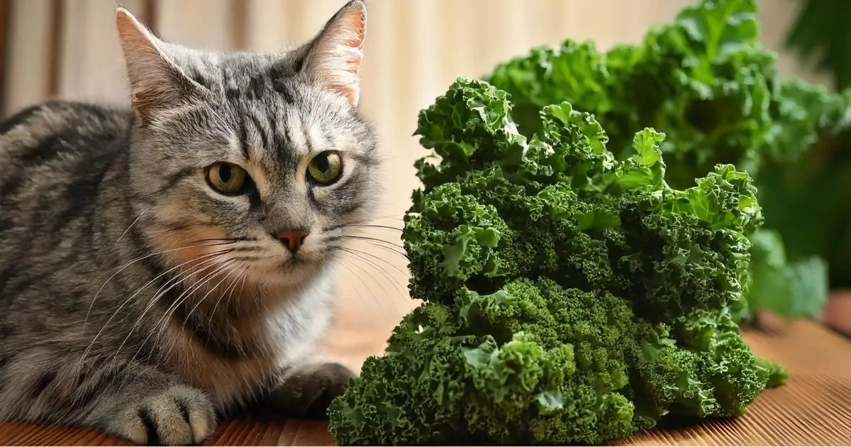 Can Cats Eat Kale